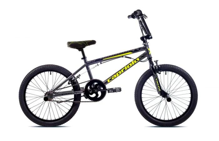 Youth bike BMX 20