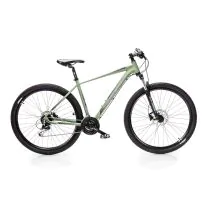 Mountain bike Capriolo MTB 9.3 29"/24AL matt-reseda green-grey, 21"