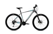 Mountain bike Capriolo MTB 9.3 29"/24AL grey blue, 21"